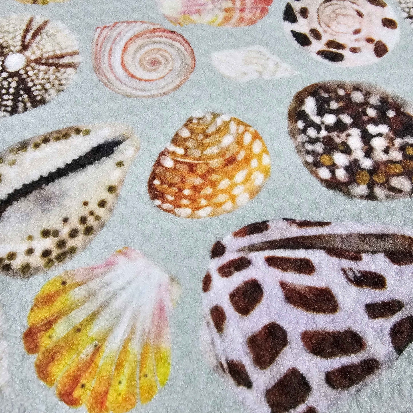 Poipu Shells - Custom Design Tea Towels