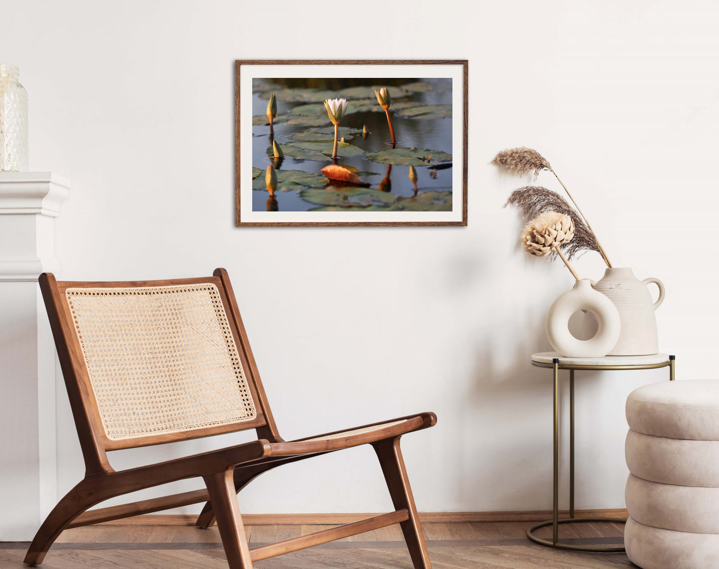 African Water Lilies - Illustrated Print by Thomas Little