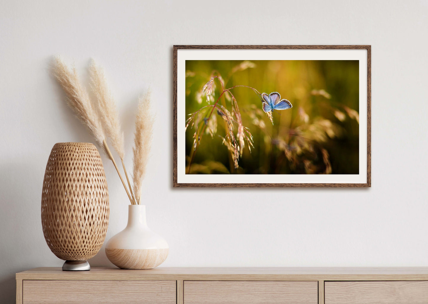 Capture - Illustrated Print by Thomas Little