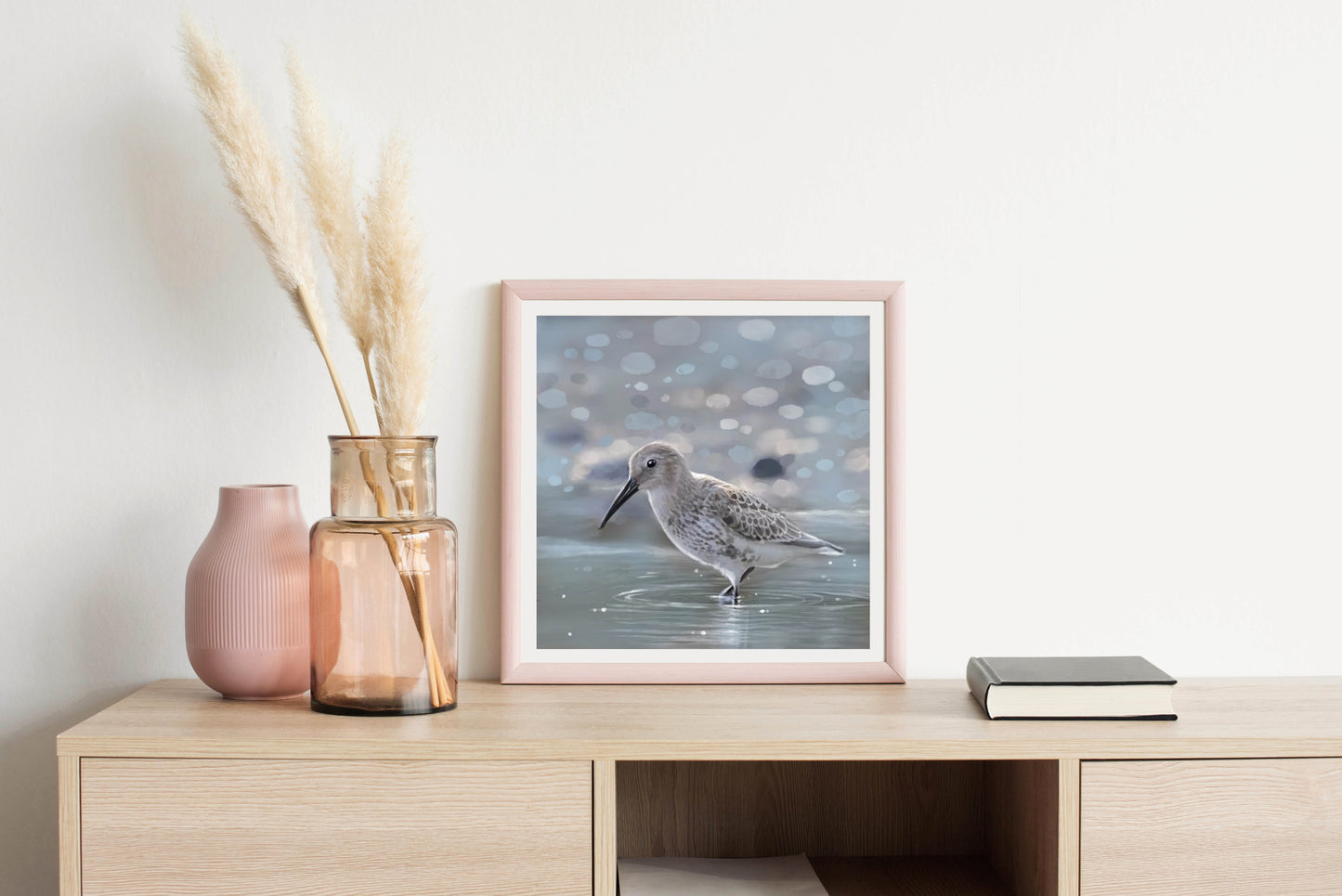 Morning Glow Pied Sandpiper - Illustrated Print by Thomas Little