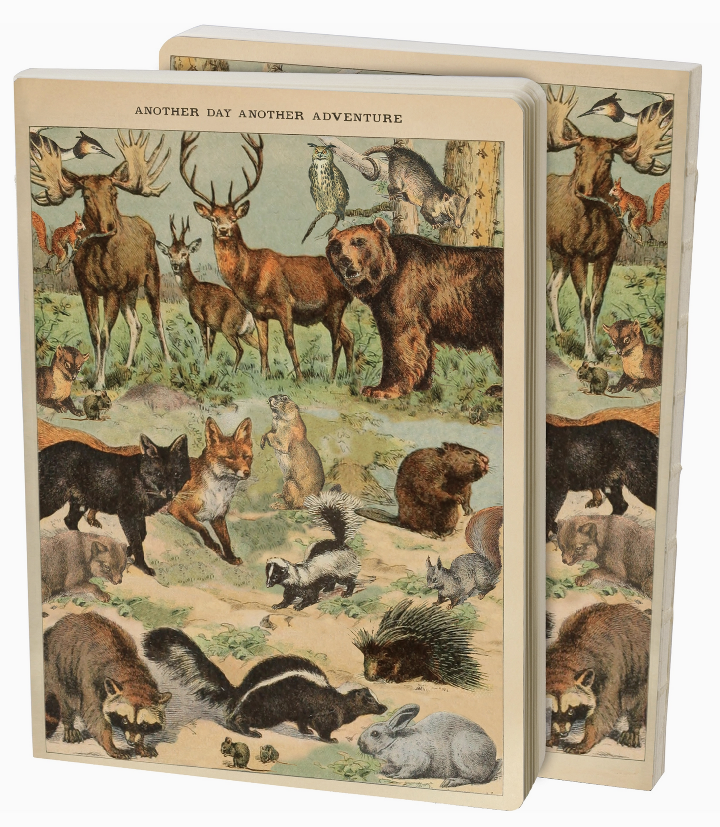 Another Day Another Adventure Journal - by Primitives by Kathy®