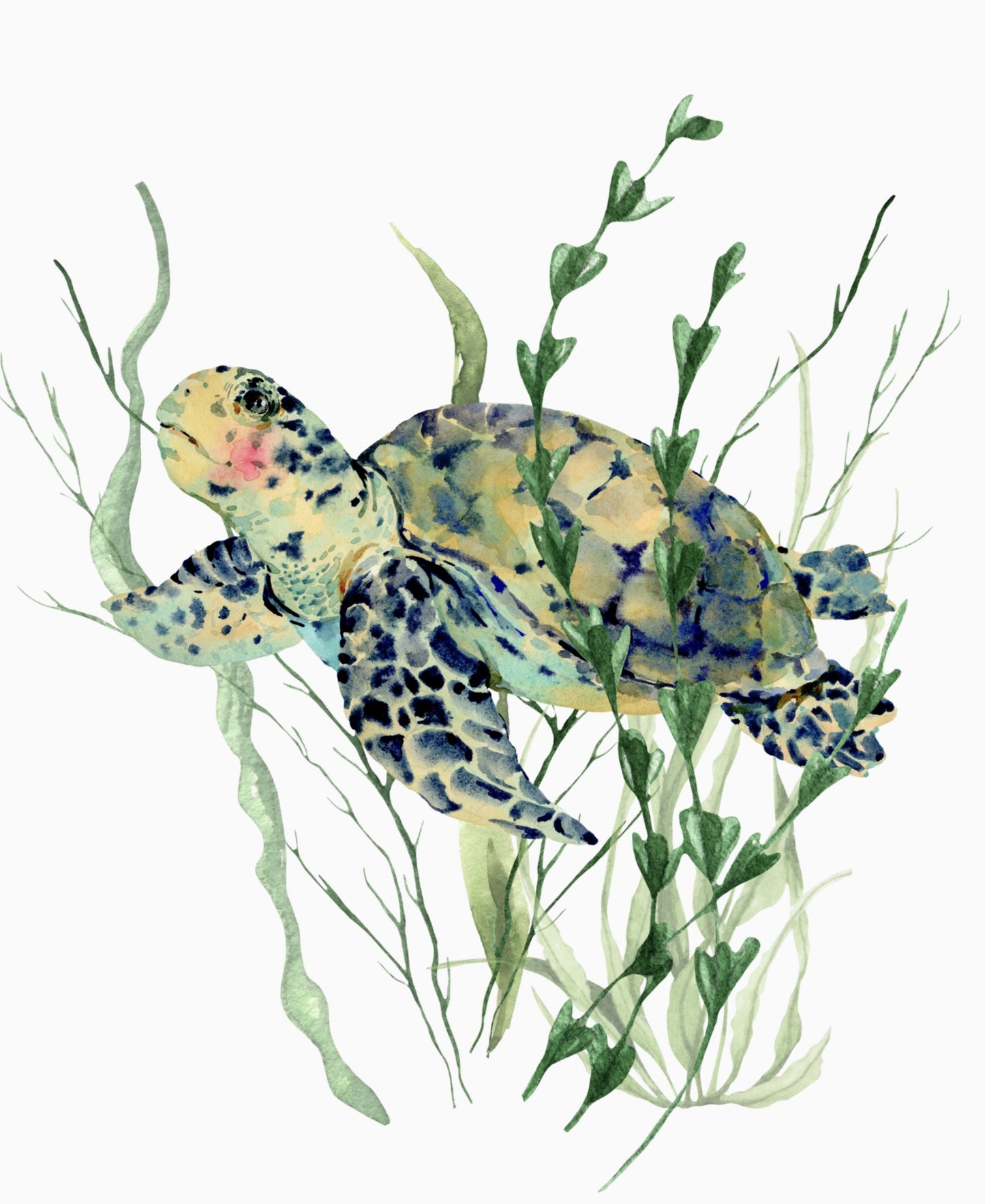 Sea Turtle Ornament - Oyster Shell - by Coast and Cork