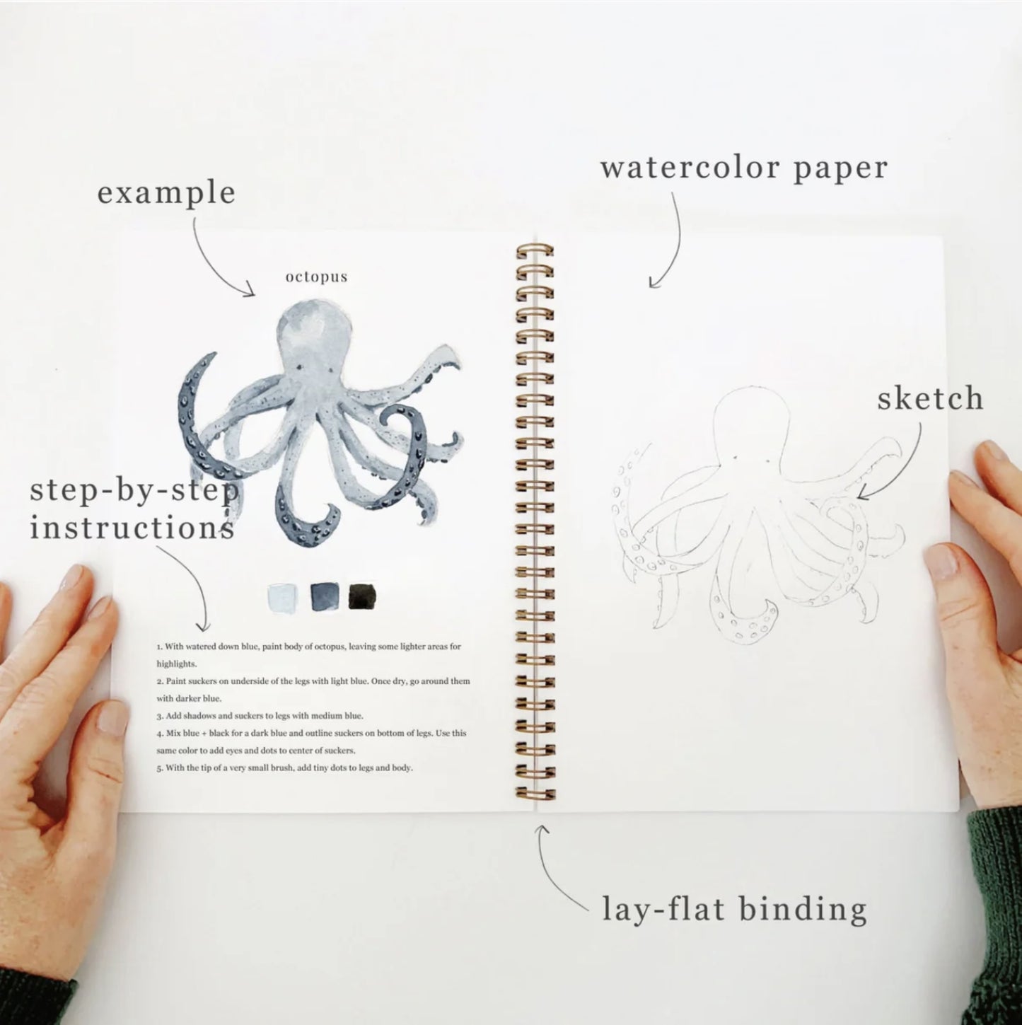 Seaside Watercolor Workbook - by Emily Lex Studio