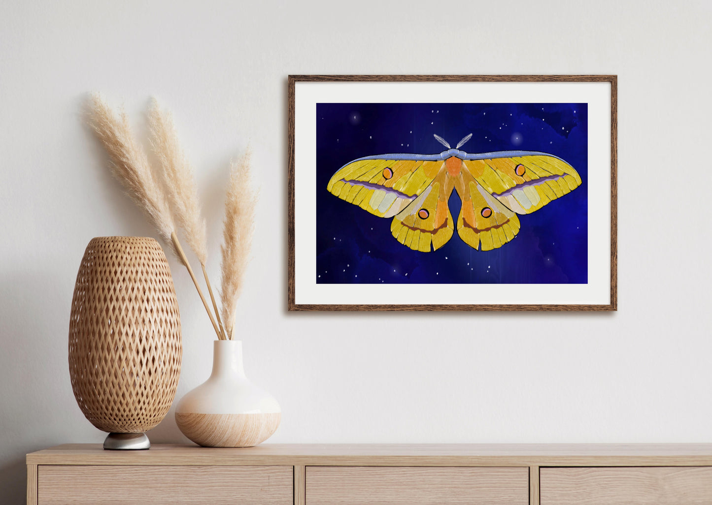 Starlight Starbright Moth - Illustrated Print by Thomas Little