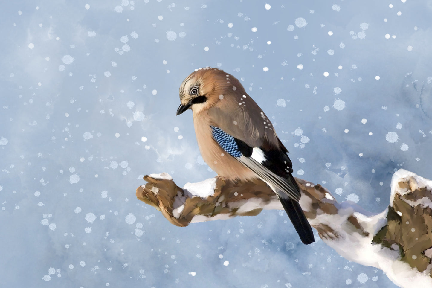 Spring Snow - Illustrated Print by Thomas Little