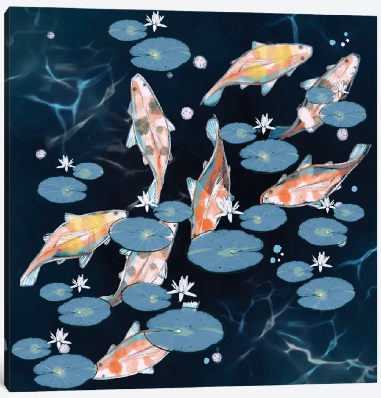 Koi Boi by Thomas Little - 16 x 16 inches - Framed Art Print