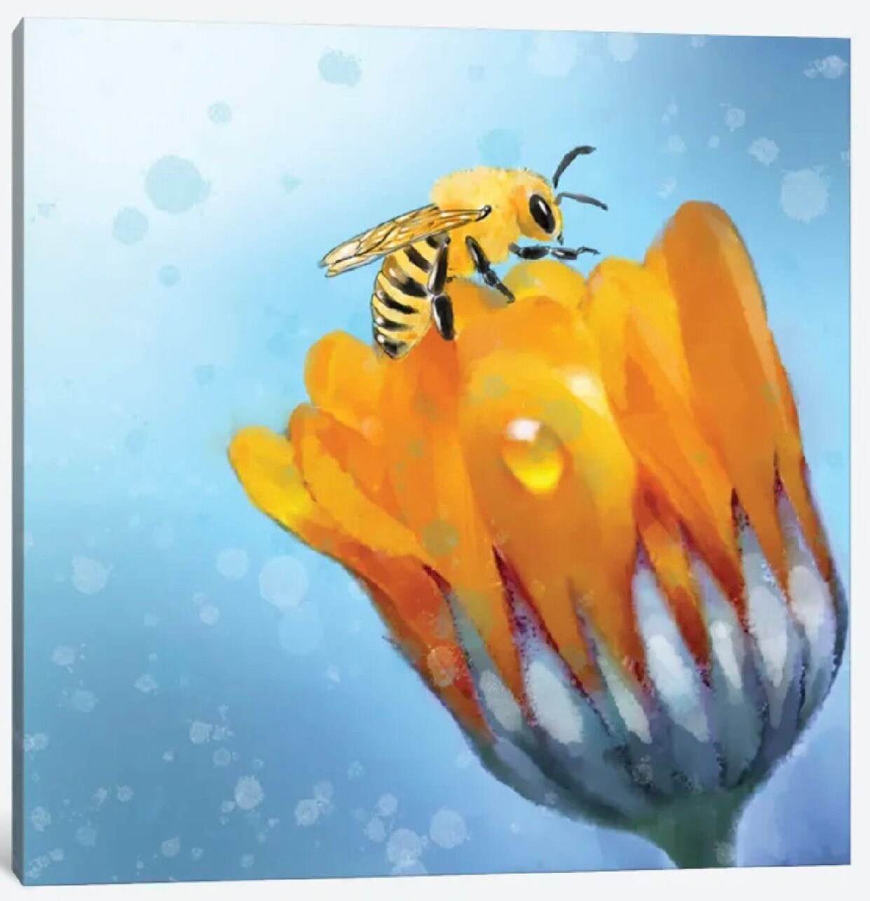 Buzz Pop Bloom by Thomas Little - 16 X 16 inches - Framed Art Print
