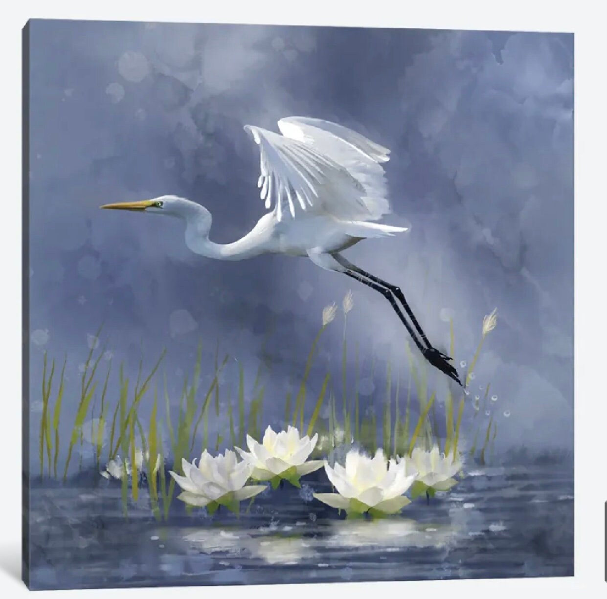 Egret Dawn Flight by Thomas Little - 16 x 16 inches - Framed Art Print