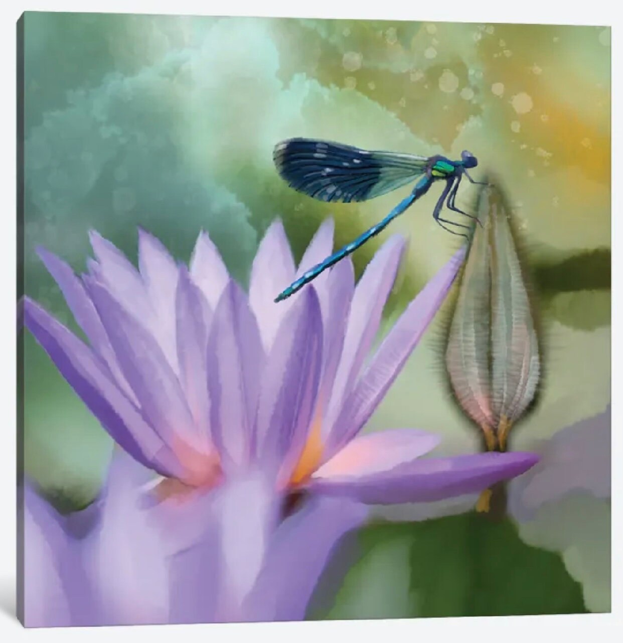 Lilly And Damselfly by Thomas Little - 16 X 16 inches - framed art print
