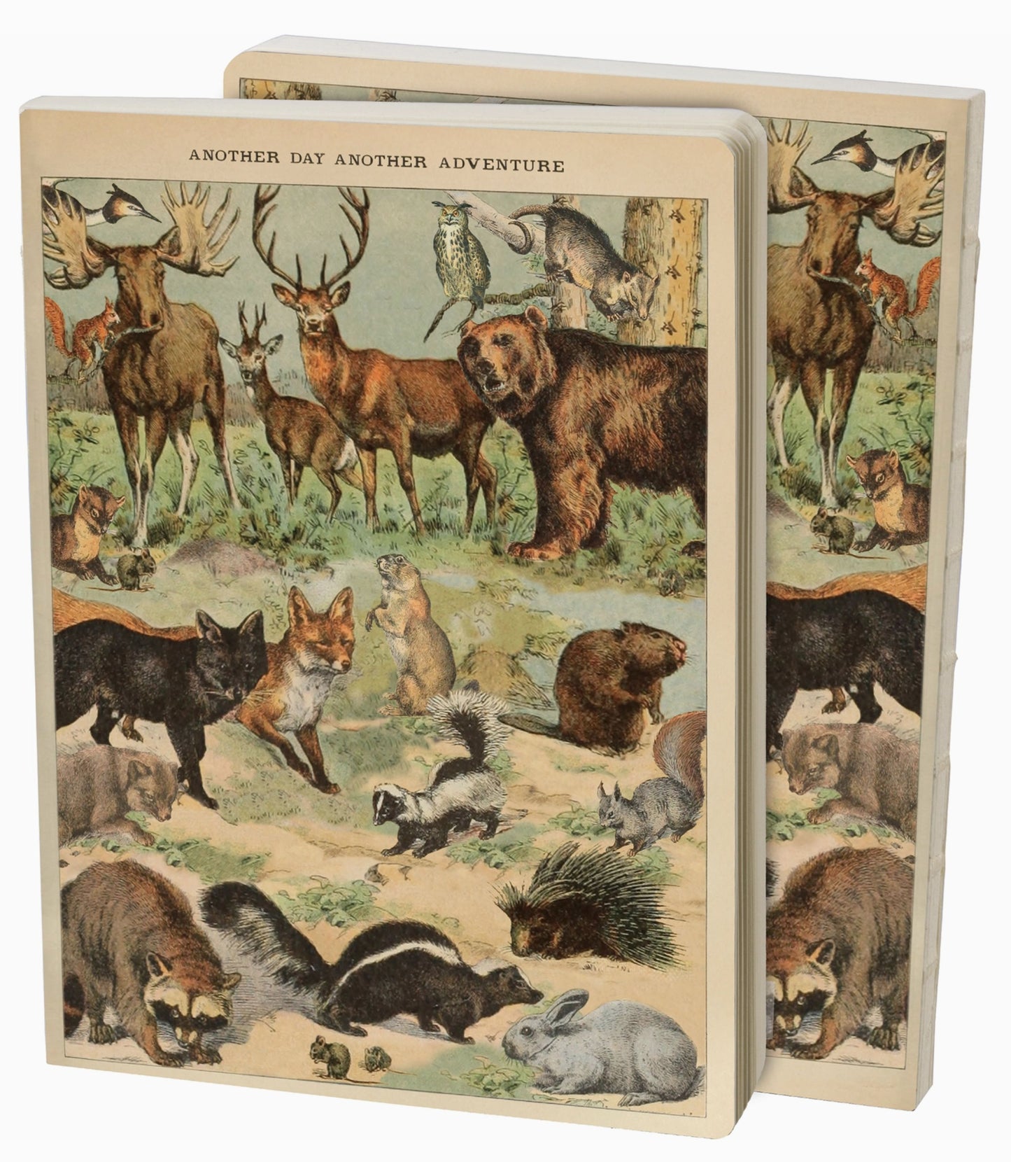 Another Day Another Adventure Journal - by Primitives by Kathy®