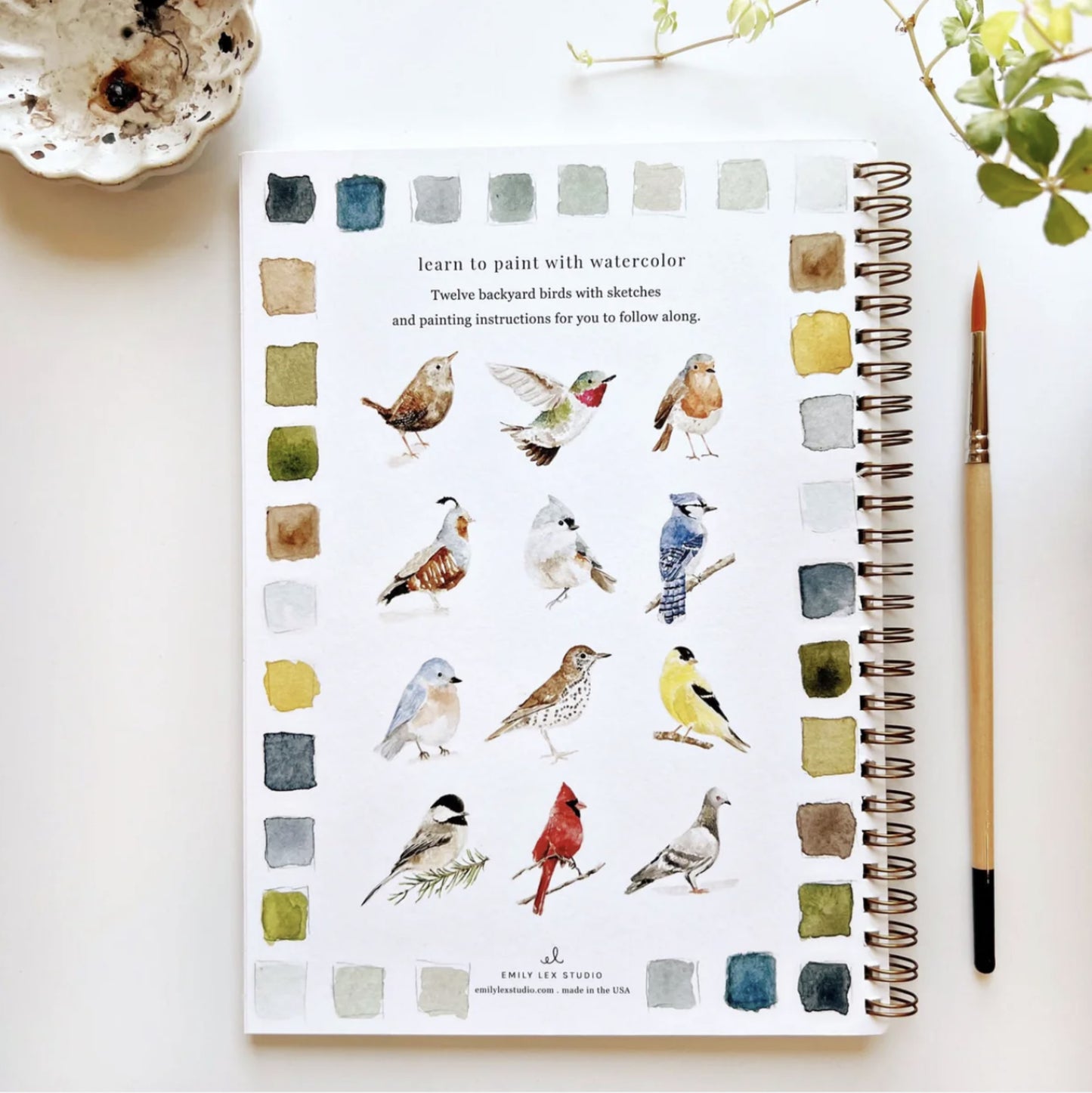 Birds Watercolor Workbook - by Emily Lex Studio