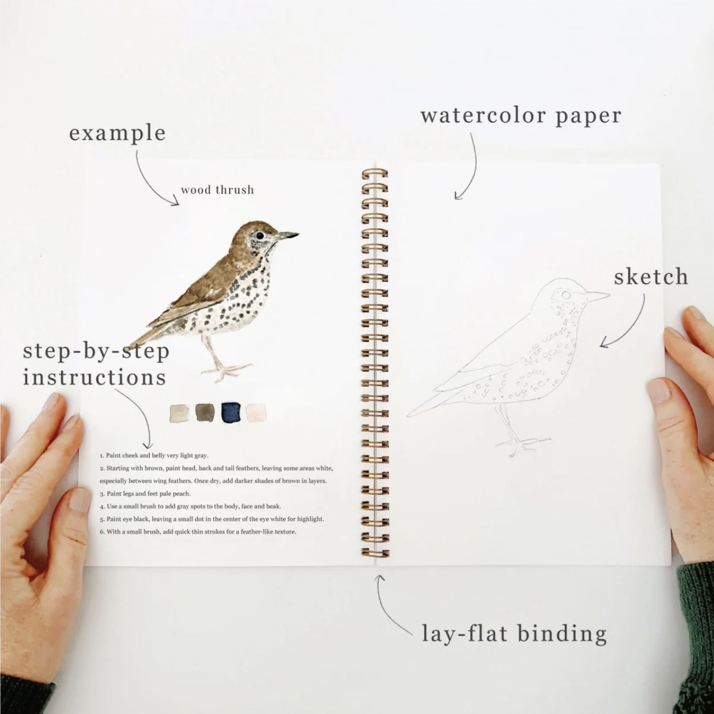 Birds Watercolor Workbook - by Emily Lex Studio