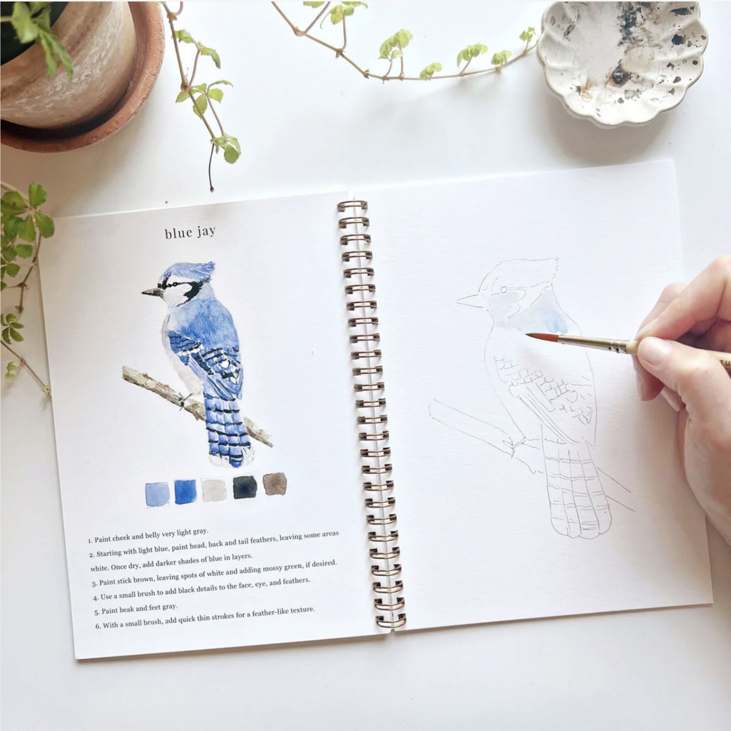 Birds Watercolor Workbook - by Emily Lex Studio