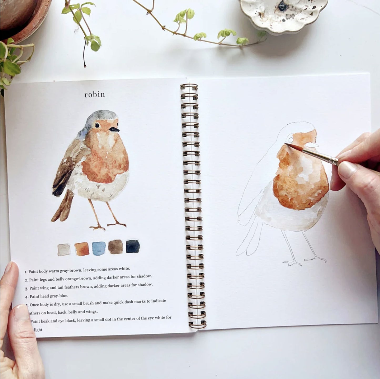 Birds Watercolor Workbook - by Emily Lex Studio