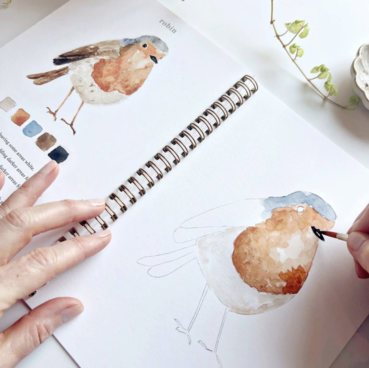 Birds Watercolor Workbook - by Emily Lex Studio