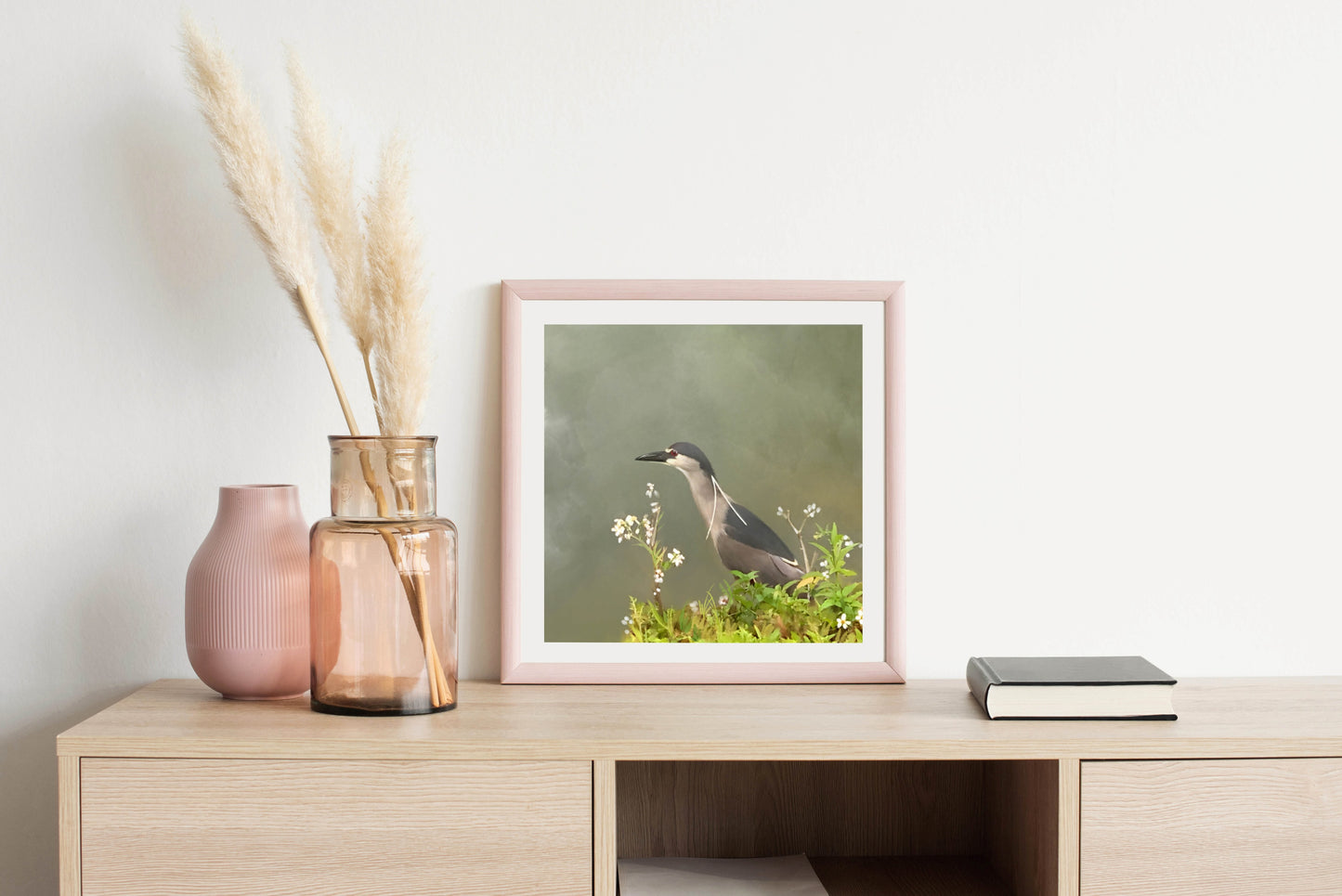 Black Crowned Night Heron - Illustrated Print by Thomas Little