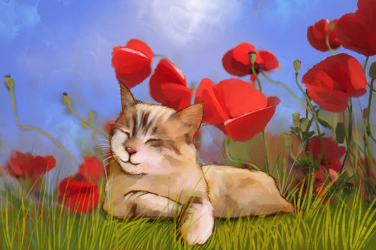 Cat in Poppy Field - Illustrated Print by Thomas Little