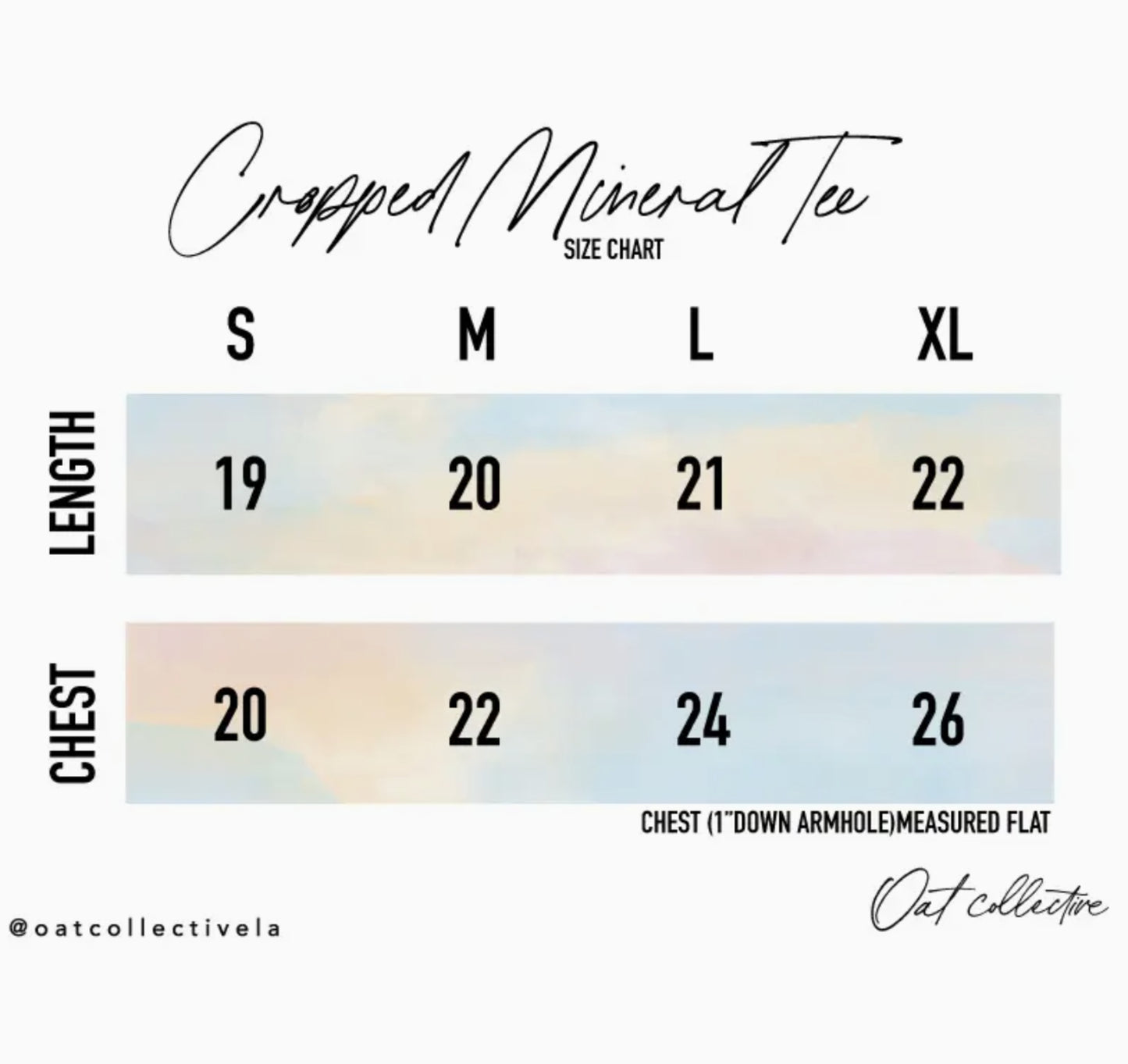 Beach Days Cropped Mineral Washed Graphic Top (Toast color) - by OAT COLLECTIVE®