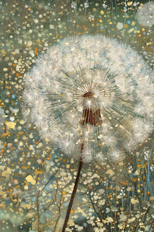 Dandelions II - Illustrated Print by Thomas Little