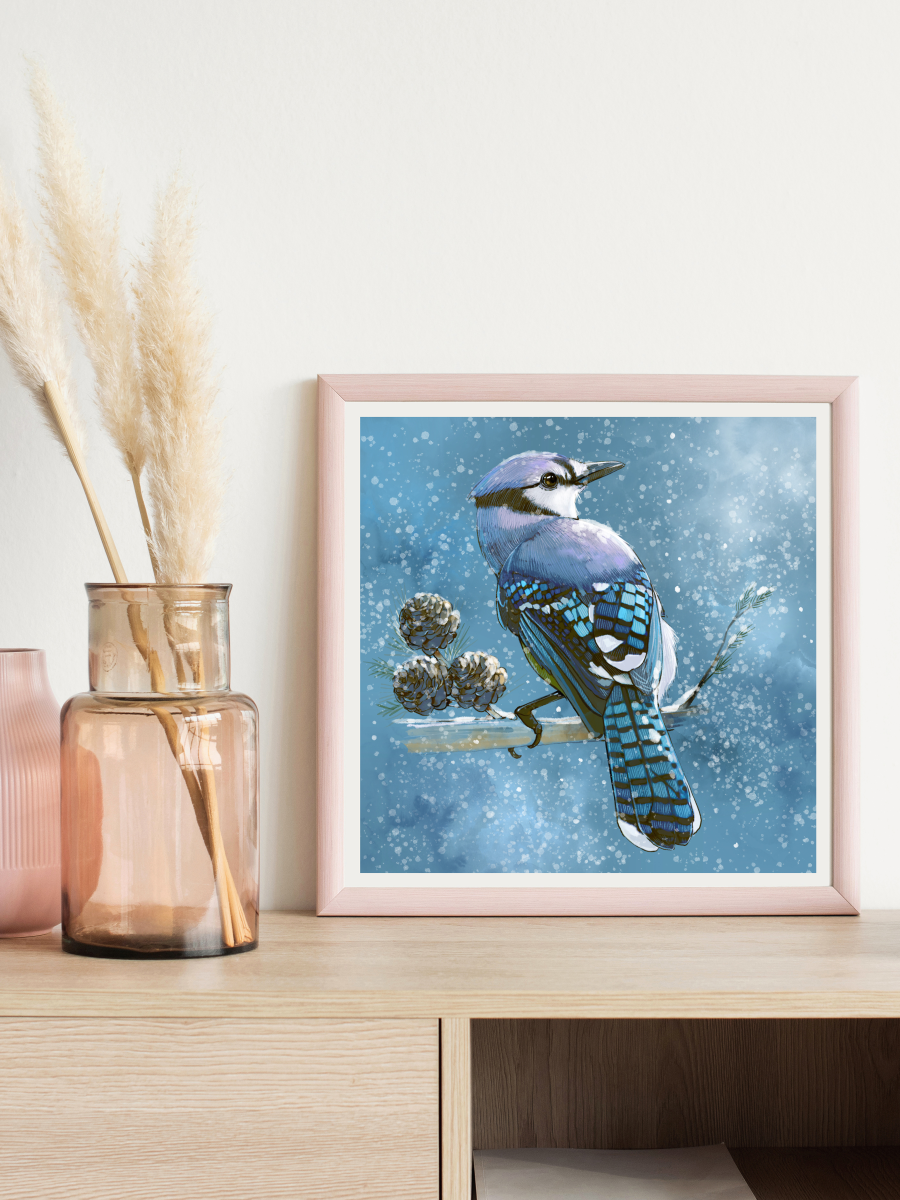 Jay in the Snowfall - Illustrated Print by Thomas Little