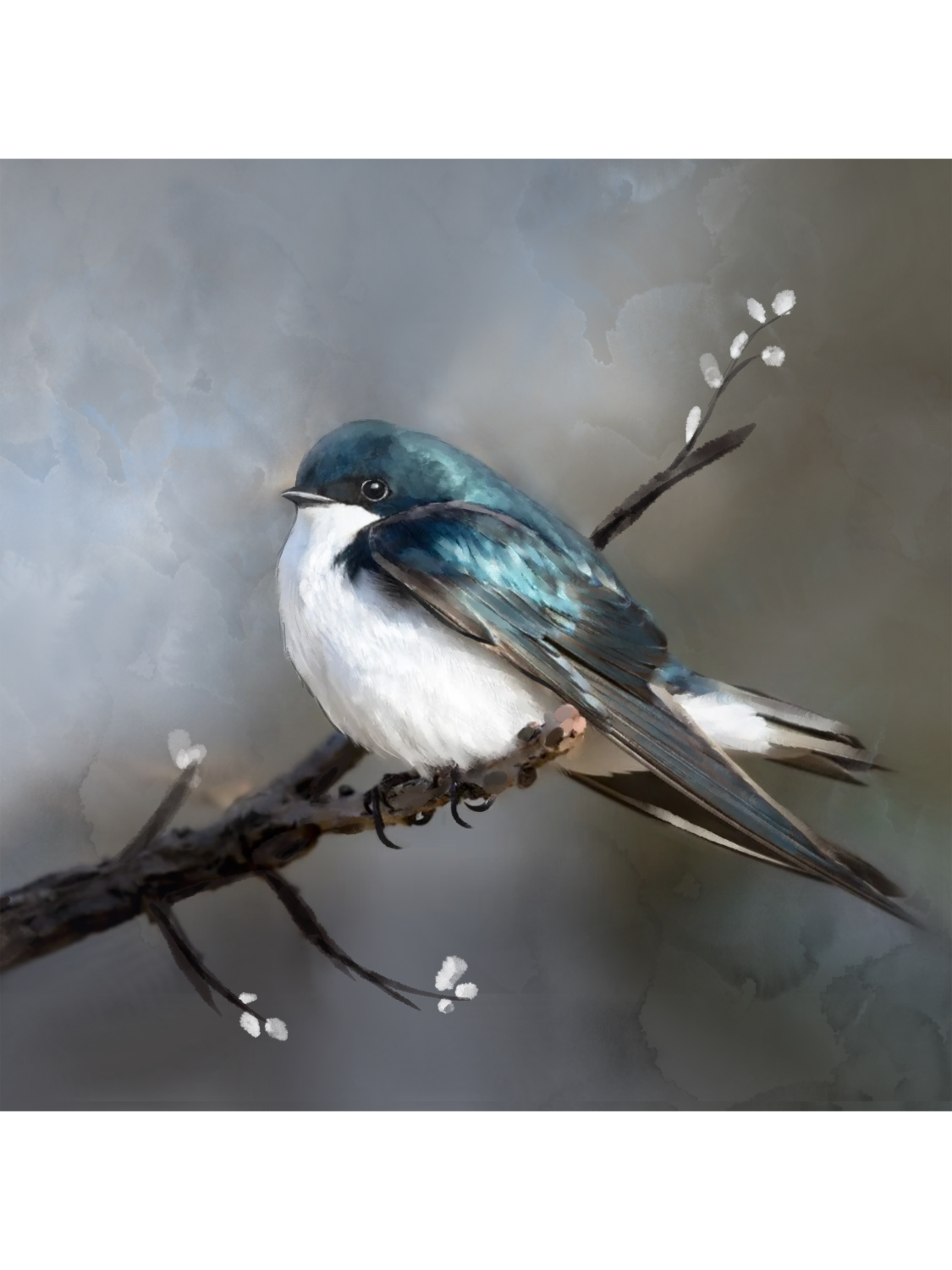 Bird perched on a branch with a blurred background