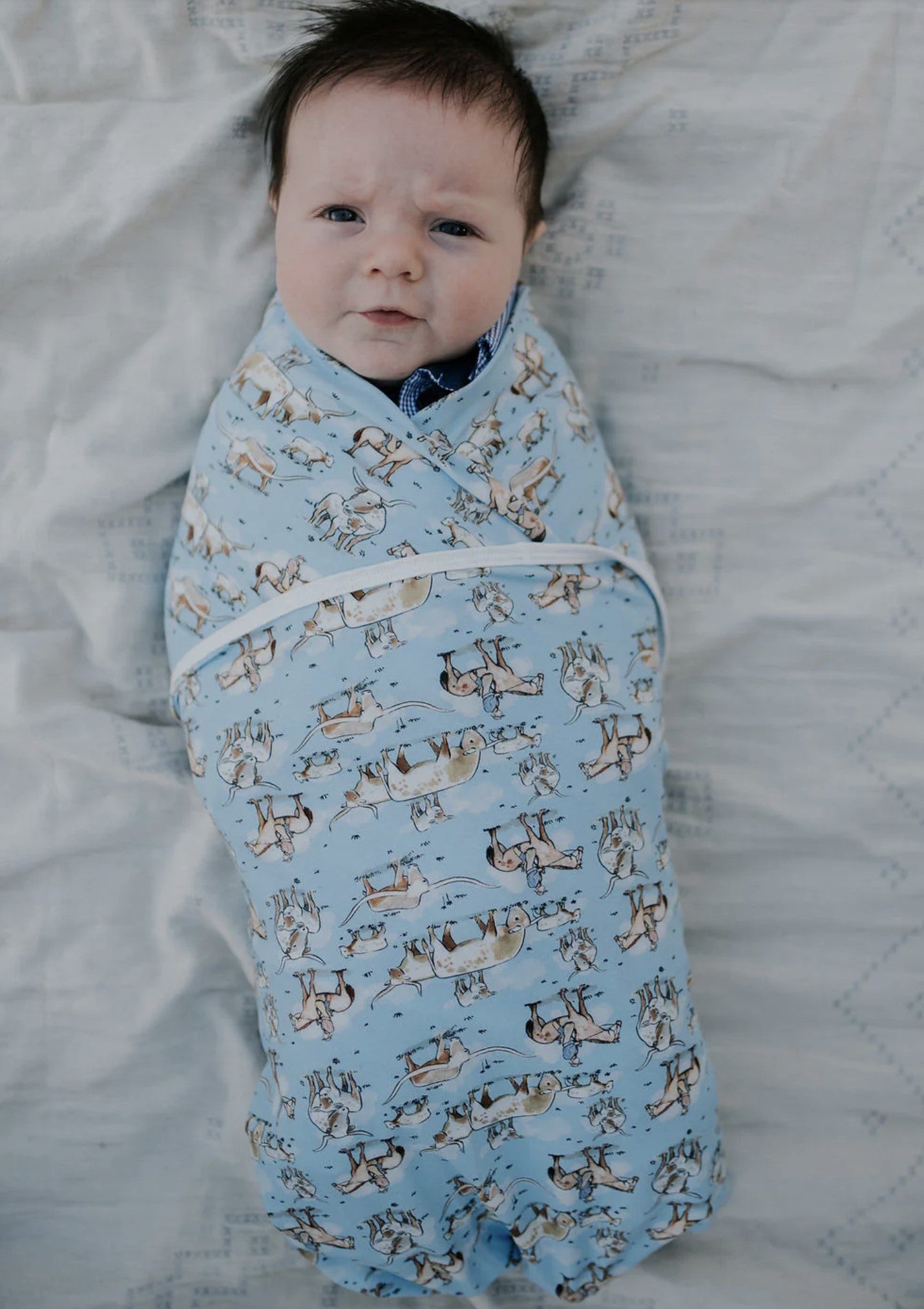Long Horn Cowboy New Feel Jersey Cotton Swaddle