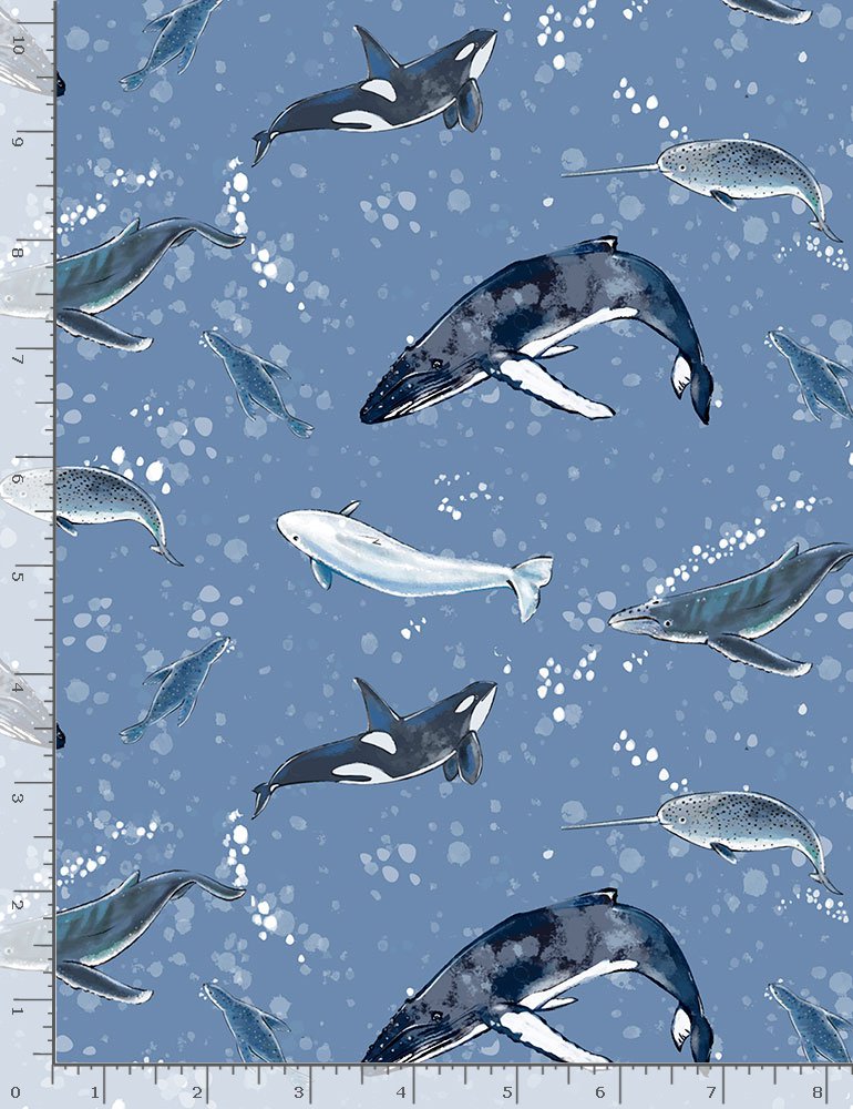 Marine Mammals - Little Ocean Blue Studio - Fabric By The Yard - 100% Cotton - CD1296
