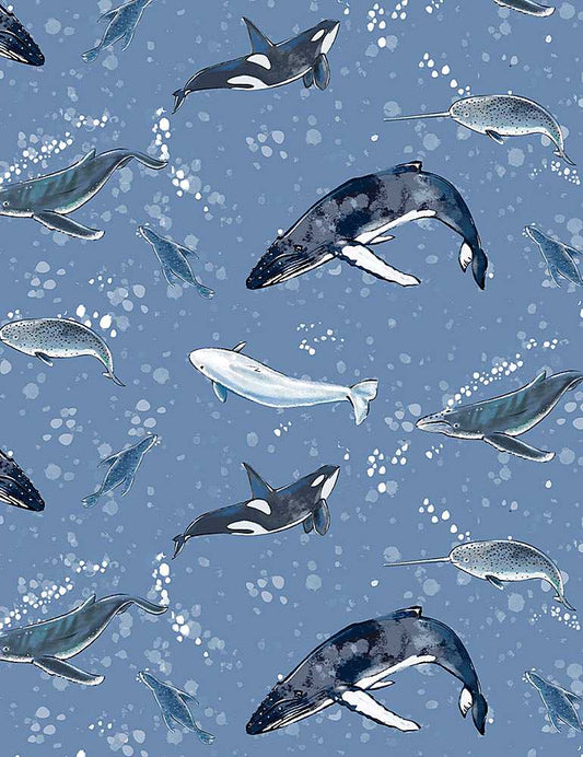 Marine Mammals - Little Ocean Blue Studio - Fabric By The Yard - 100% Cotton - CD1296