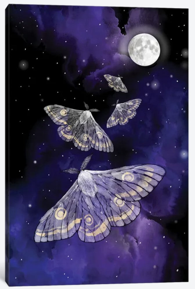 Moon Moths by Thomas Little - 18 x 12 inches, Framed Canvas