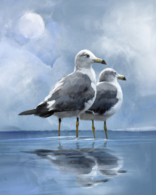 Morning Coastal Gulls - Illustrated Print by Thomas Little