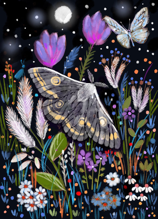 Moth and the Midnight Garden - Illustrated Print by Thomas Little