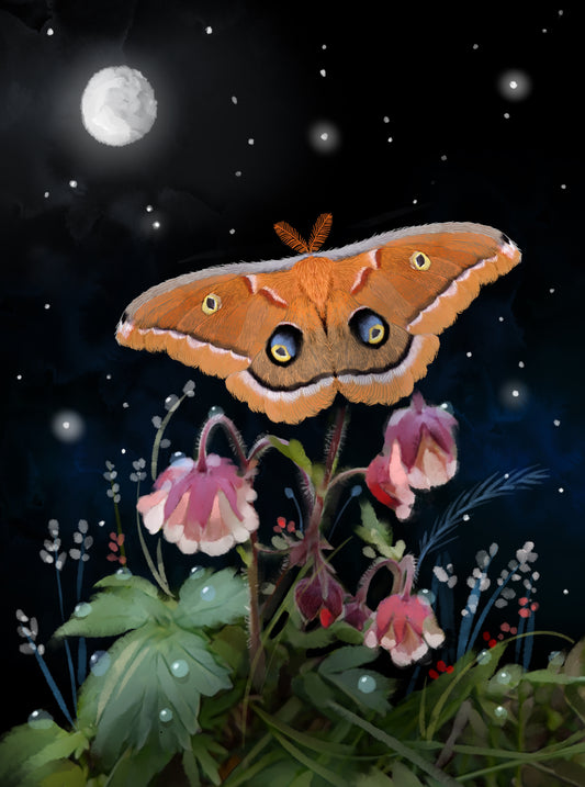 Moth in a Magical Moment - Illustrated Print by Thomas Little