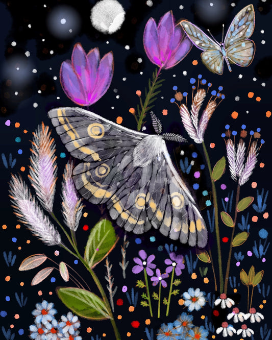 Moth in the Moonlight - Illustrated Print by Thomas Little