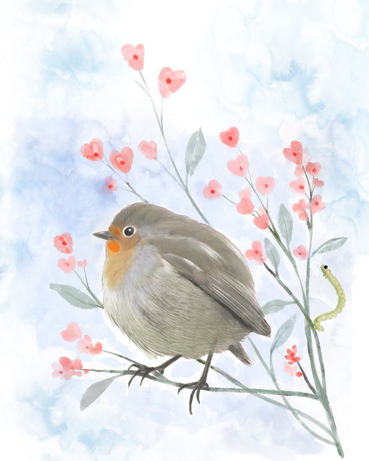 Robin in my Garden - Illustrated Print by Thomas Little