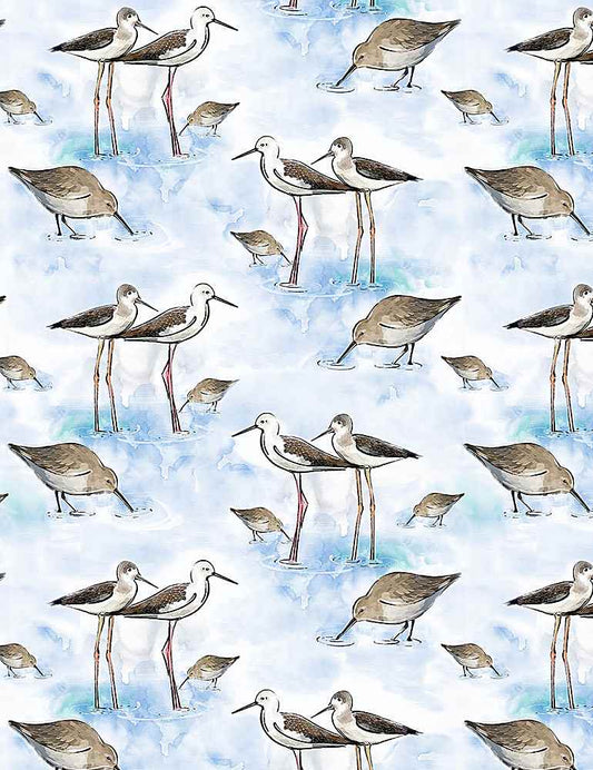 Sand Pipers - Little Ocean Blue Studio - Fabric By The Yard - 100% Cotton - CD1305