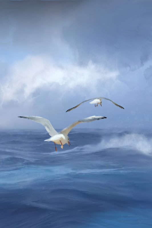 Sea and Seagulls - Illustrated Print by Thomas Little