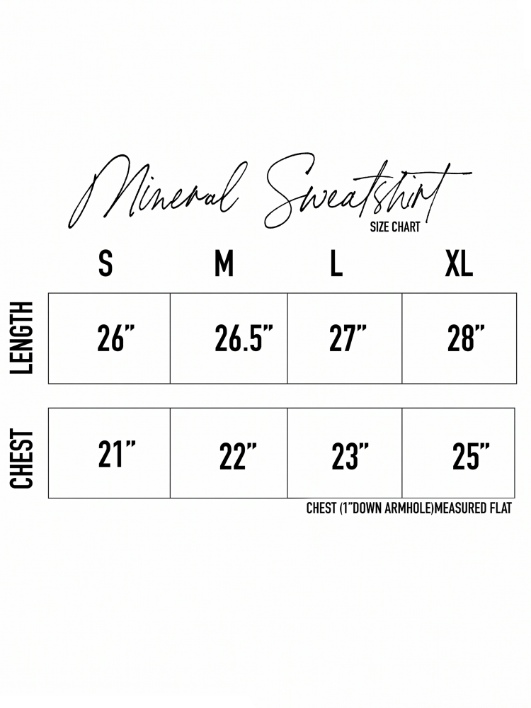 USA Est.1776 Mineral Graphic Sweatshirt - by OAT COLLECTIVE®