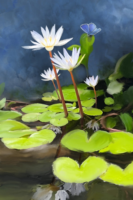 Water Lilies and Blue Butterfly - Illustrated Print by Thomas Little