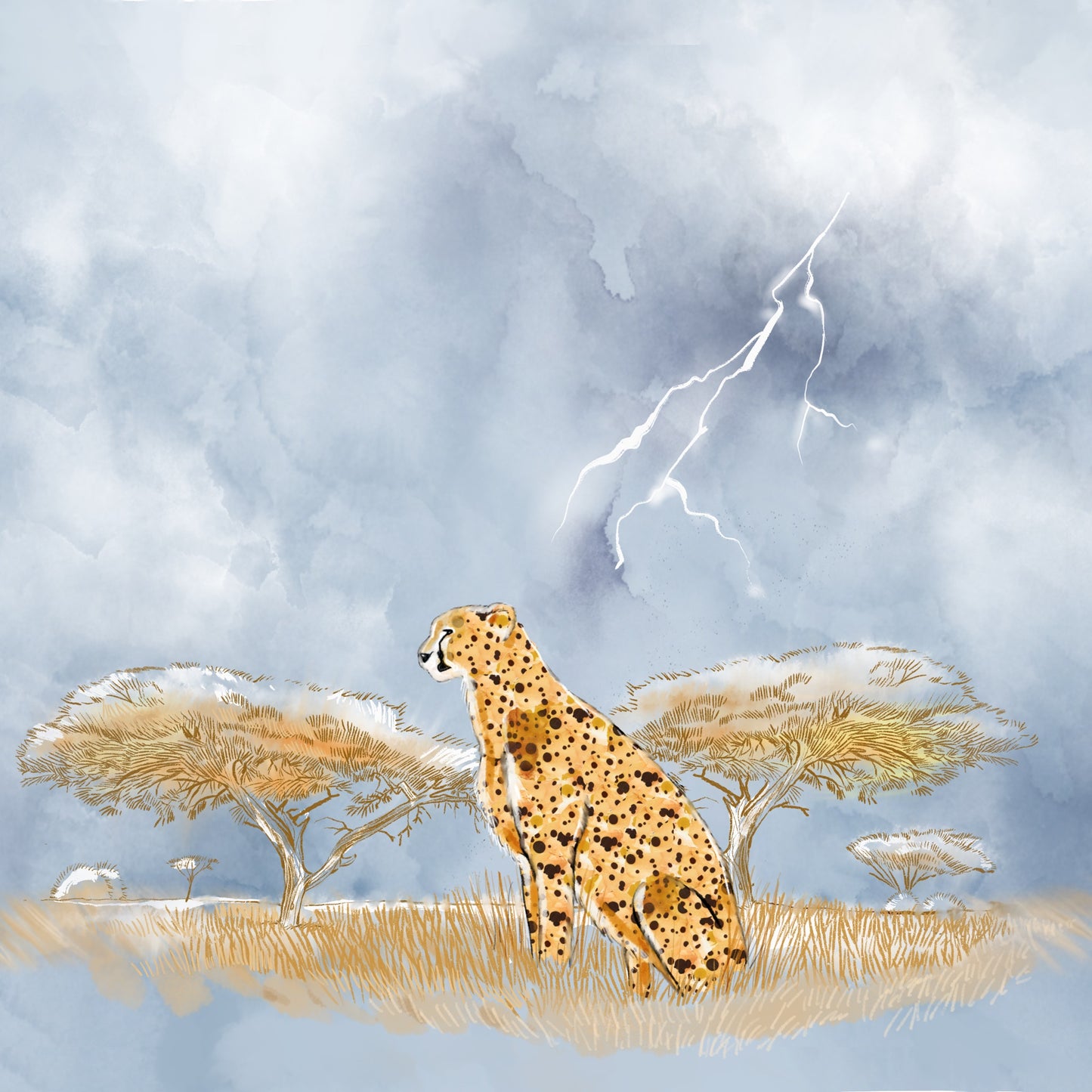 African Rain - Illustrated Print by Thomas Little