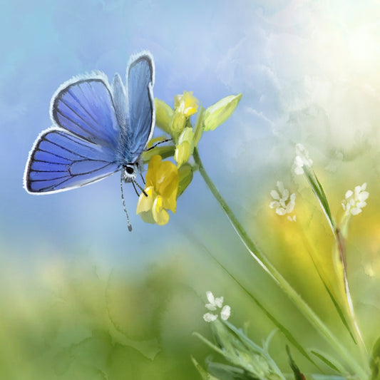 Blue Butterfly Yellow Bloom - Illustrated Print by Thomas Little