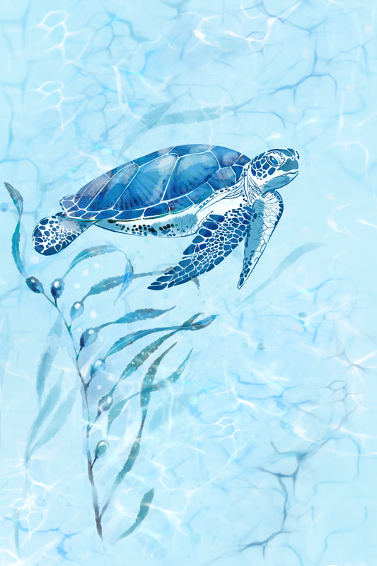 Blue Sea Turtle - Illustrated Print by Thomas Little