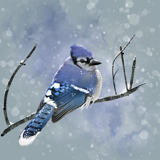 Blue Winter Morning - Illustrated Print by Thomas Little