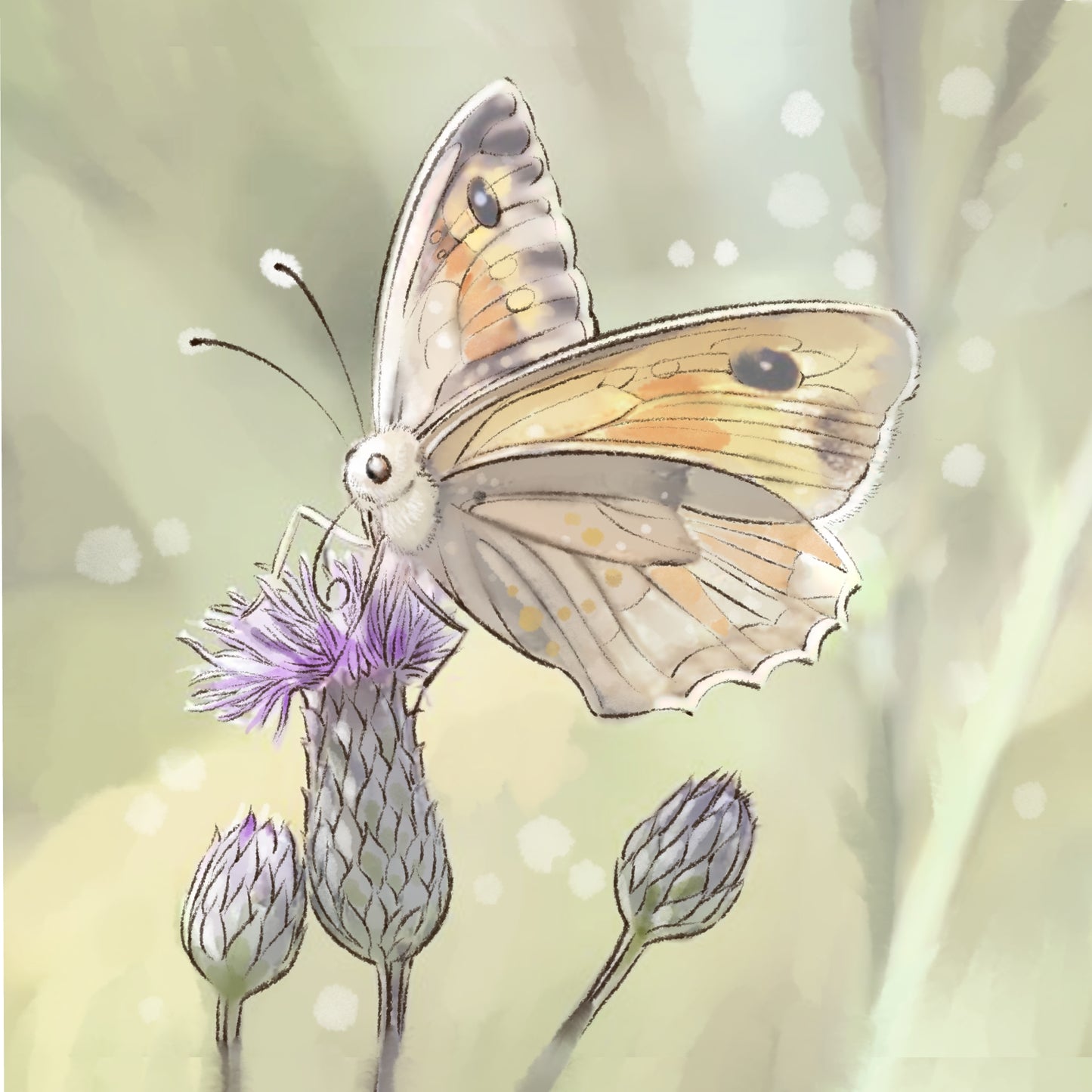 Butterfly in the Real World - Illustrated Print by Thomas Little