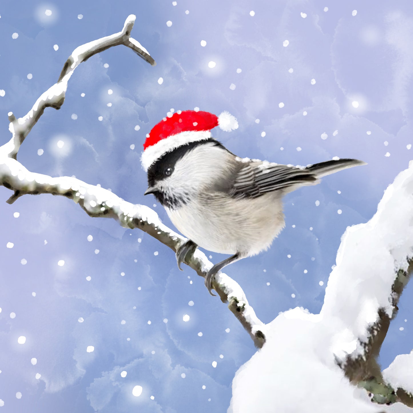 Christmas Chickadee - Illustrated Print by Thomas Little