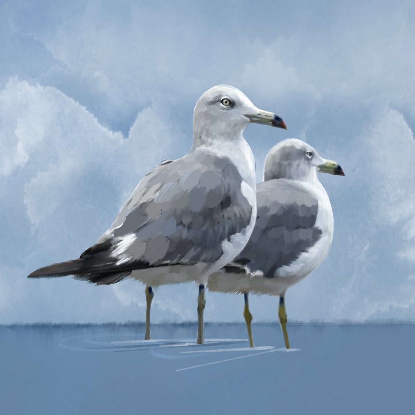 Coastal Gulls - Illustrated Print by Thomas Little