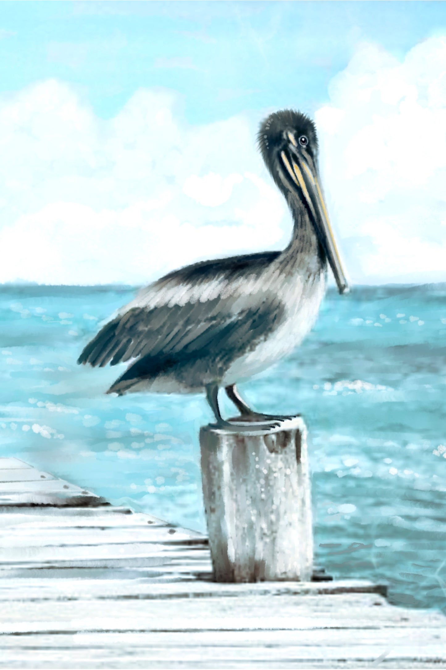 Coastal Pelican - Illustrated Print by Thomas Little