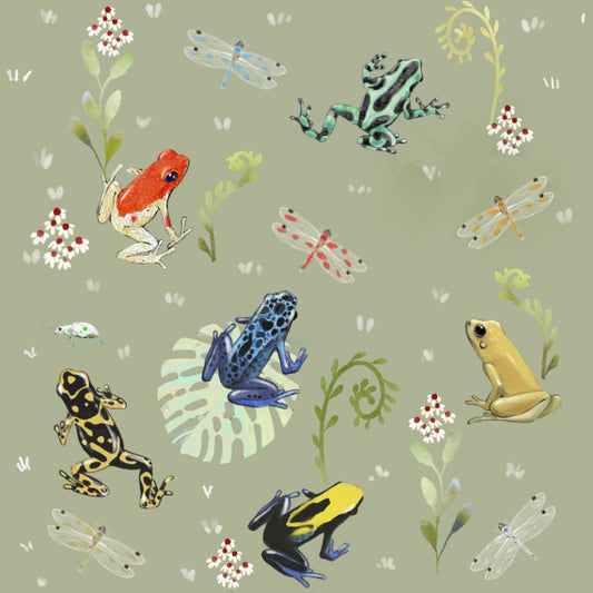 Dart Frogs - Illustrated Print by Thomas Little