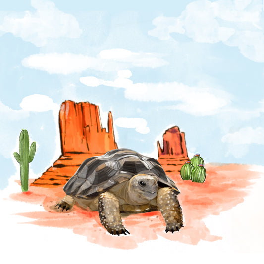 Desert Dweller - Illustrated Print by Thomas Little