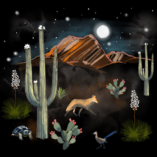 Desert Night - Illustrated Print by Thomas Little