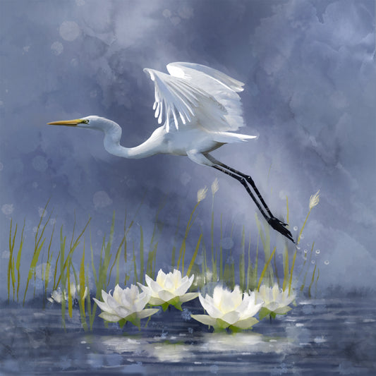 Egret Dawn Flight - Illustrated Print by Thomas Little